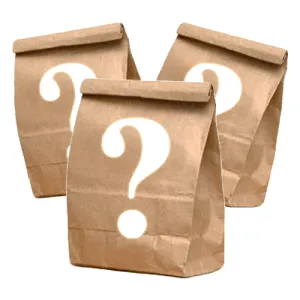 Mystery Bag Ladies Size 12-18 - FINAL SALE